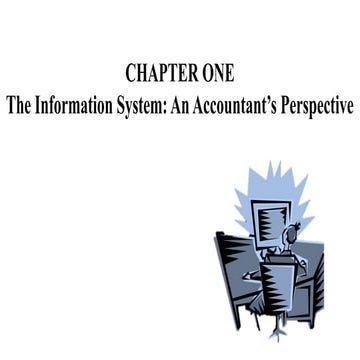 The Information System : An Accountants Perspective