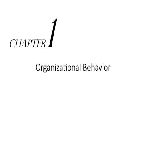 chapter_1_organizationalbehaviour_bo.ppt