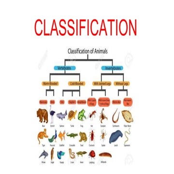  classification grade 9 chapter 3