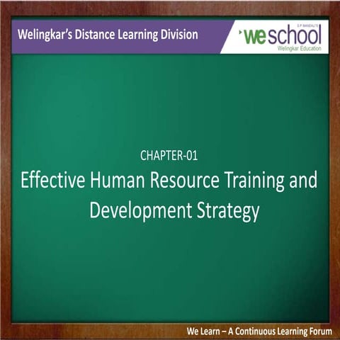 Human Resource Management Training and Development Strategies