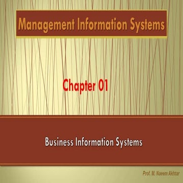 Chapter 1 Business  information systems