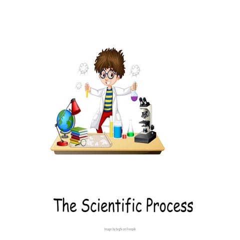 The Scientific Process Presentation Biology