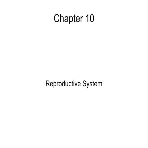 The Human Reproductive System Male ang Female.pptx