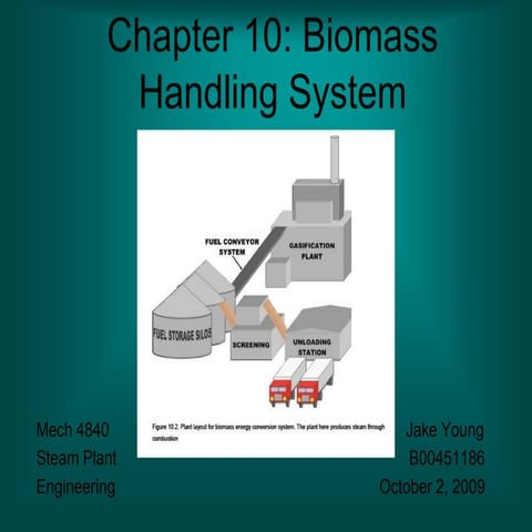 Biomass handling system