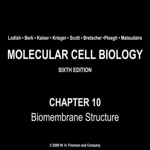 Molecular Cell Biology Lodish 6th.ppt - Chapter 10   biomembrane structure