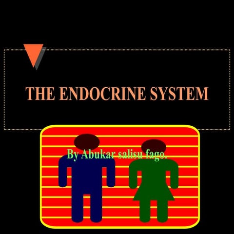 Chapter 10   endocrine system