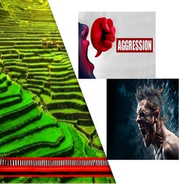 Aggression.ppt