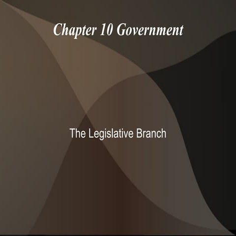 Chapter 10 government notes