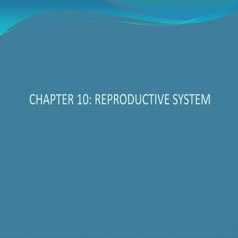 Chapter 10 powerpoint | PPT