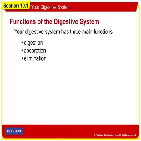 Health Course Chapter 10