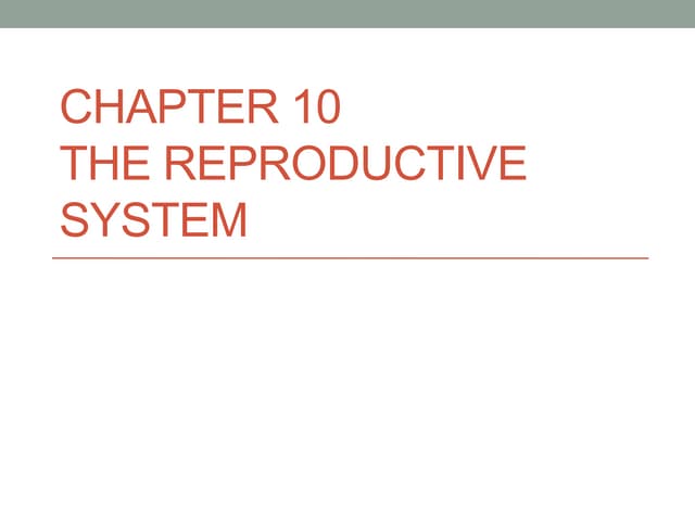 Chapter 10 presentation | PPT