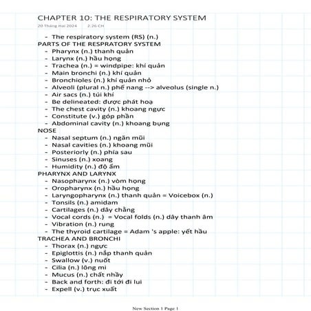 CHAPTER 10 THE RESPIRATORY SYSTEMmmm.pdf