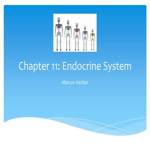 Chapter 11 presentation | PPT
