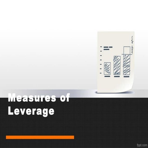 Chapter 11.Measures of Leverage