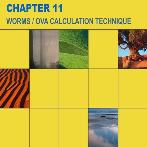 worm and ova calculation technique