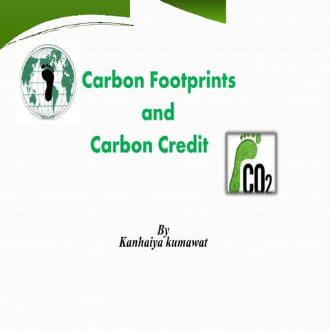 Carbon Footprints and Carbon Credit