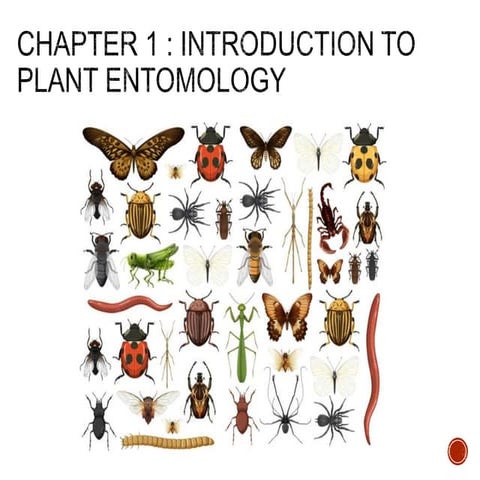 Chapter 1: introduction to plant entomology