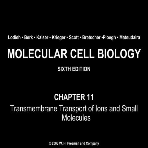 Chapter11 transmembranetransportofionsandsmallmolecules-140105092904-phpapp02
