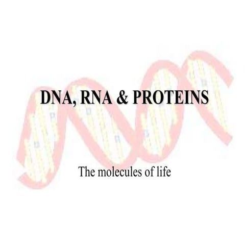 DNA Structure and Replication RNA and Protien Synthesis 2017.ppt