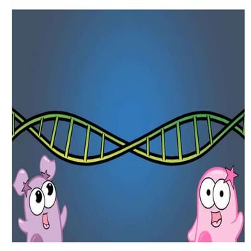 独中高中生物Chapter 11 Part 2 Blood sugar homeostasis