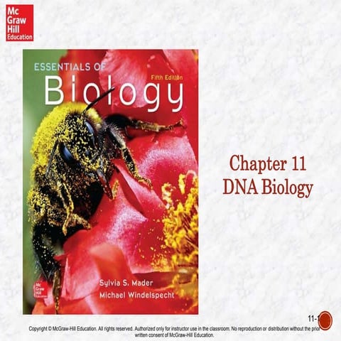 Chapter 11 DNA Biology