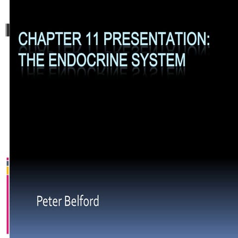 Chapter 11 | PPT