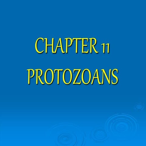 Protozoa1.ppt