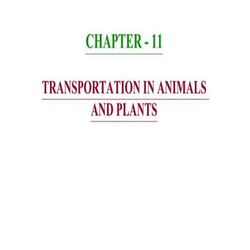 Chapter 11 Transportation in Animals and Plants