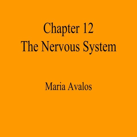 Chapter 12 nervous system | PPT