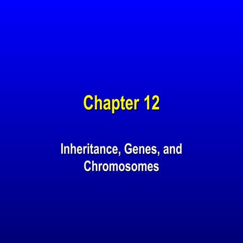 Chapter 12