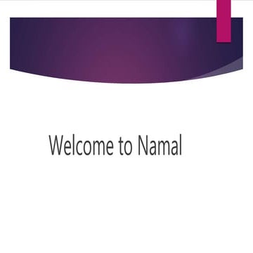 Measurements, Vector and Equilibrium