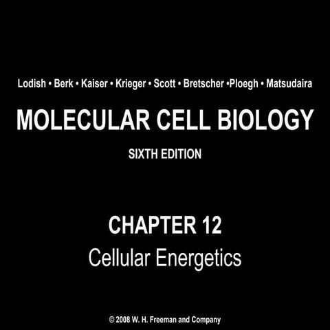 Chapter12 cellularenergetics-140105093734-phpapp01