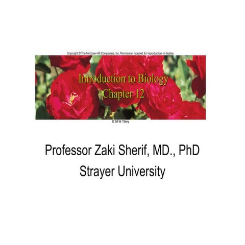 Chapter 12 gene regulation and cancer | PPT