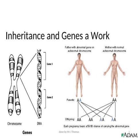 chapter 12 heredity and Variation.ppt ENJOY