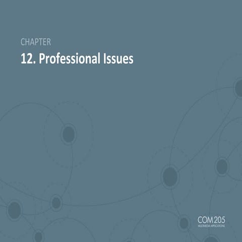 Chapter 12 Professional Issues (digital media)
