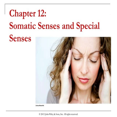 Chapter 12  somatic senses and special
