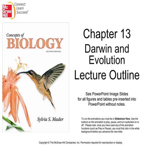 Chapter13 121008223532-phpapp02 | PPT