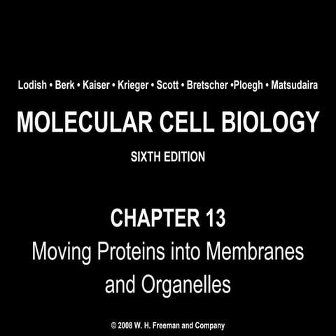 Chapter13 movingproteinsintomembranesandorganelles-140105094005-phpapp01