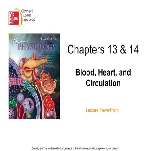Chapter 13&14 lecture-1