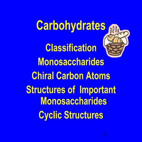 Chapter 13 carbohydrates