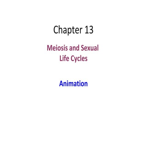 Chapter 13: Meiosis