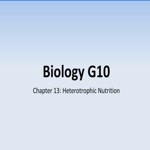 Chapter 13 Heterotrophic Nutrition 1210745399273844 9