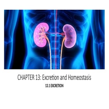 Chapter 13 Part 1.pptx biology igcse ks4 | PPTX