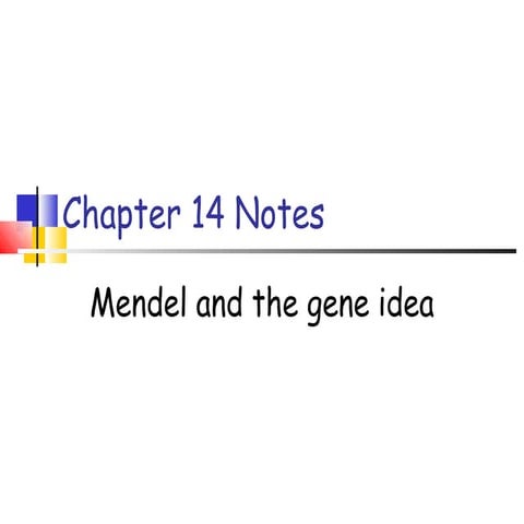 Chapter 14 | PPT