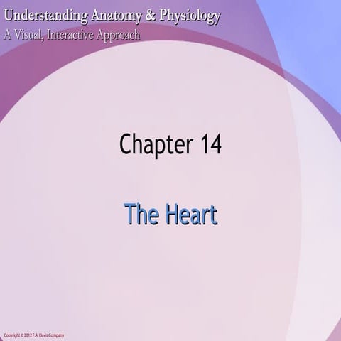 Chapter14 | PPT