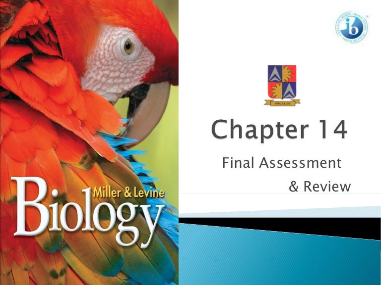 Chapter 14 Assessment Review