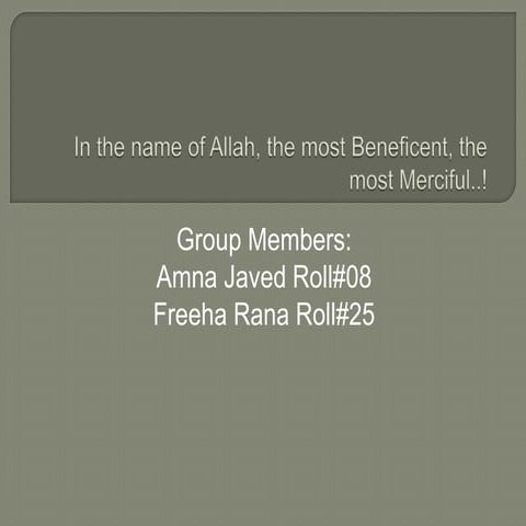 Chapter 14 corporate financing