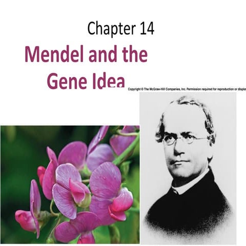 Chapter 14: Mendel and Genes