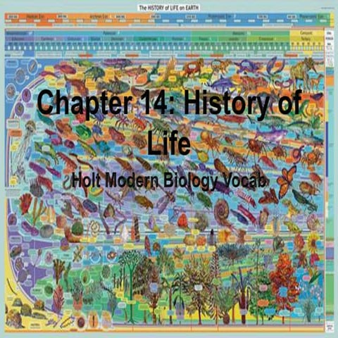 Holt Modern Biology Chapter 14 Vocabulary--History of Life