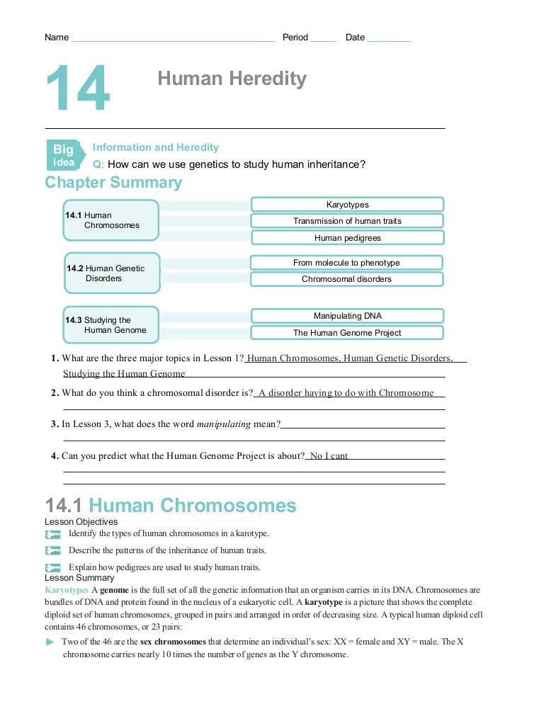 Worksheets Genetic Disorders Worksheet genetic disorders worksheet sharebrowse collection of human sharebrowse